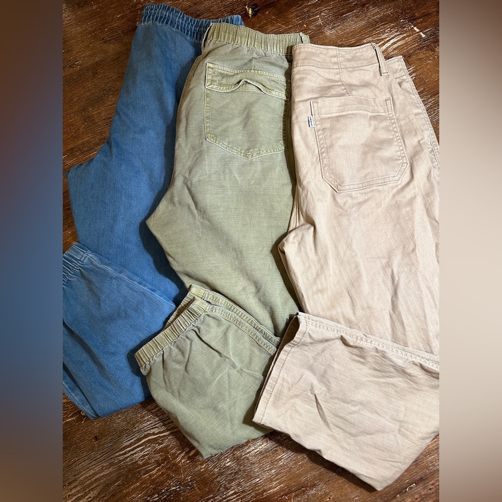 Whole lot 3 women pants size 10. Gap and Levi’s. Great condition.